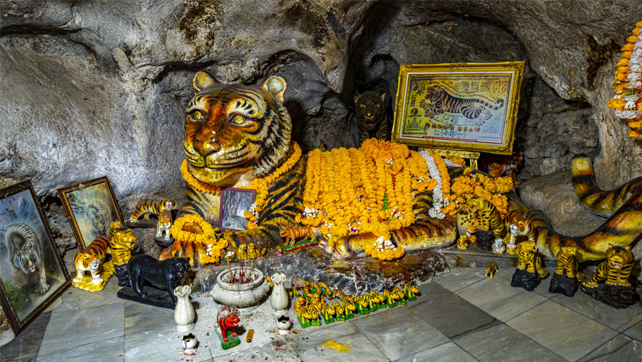 La statue de tigre dans la grotte qui donne le nom au Tiger Cave à Krabi